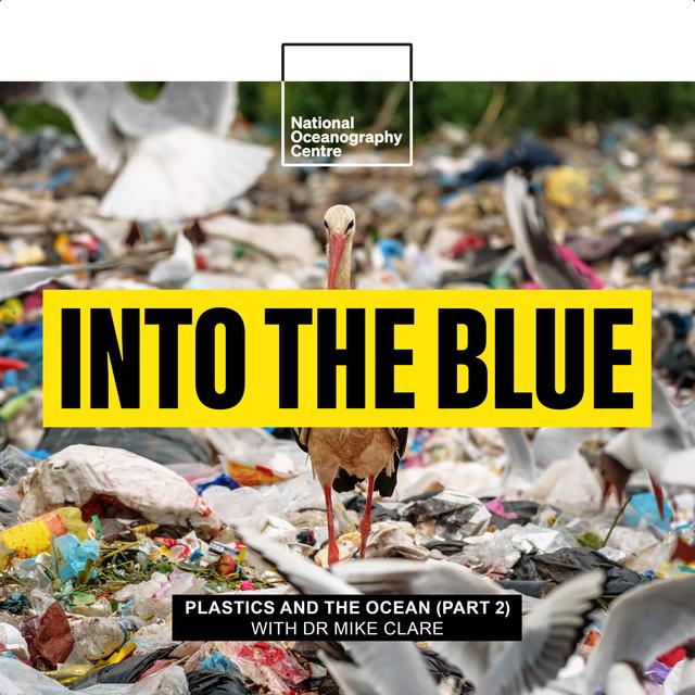 S1 Ep4: How Are Microplastics Transported Into the Deep Sea? | Dr Mike Clare and Dr Zoe Jacobs - podcast episode cover
