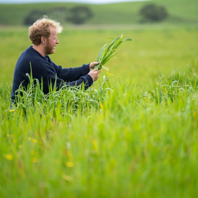 Consumer Foods-to-Go Goes Upstream – Regenerative Agriculture Explained - podcast episode cover