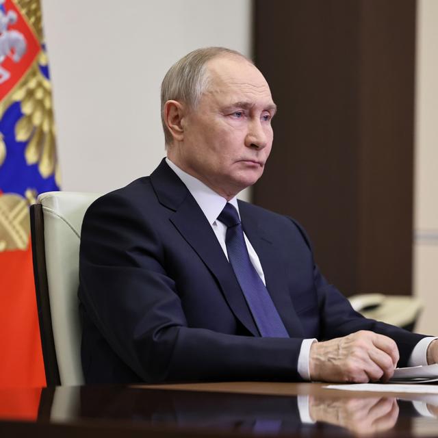 Putin declares ‘shock’ ceasefire in 'critical week' in Ukraine-Russia peace talks - podcast episode cover
