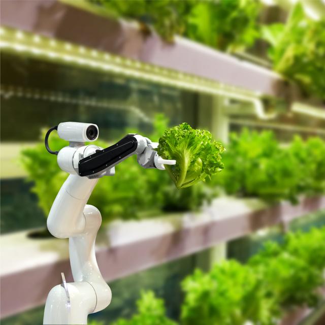 Post-Coronavirus Musings Part I: Artificial Intelligence and Food - podcast episode cover