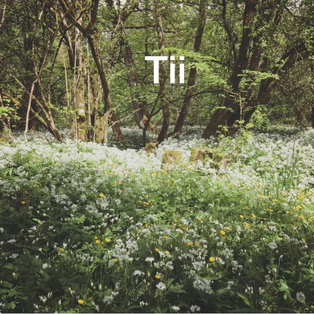 Tii 0496 - iOS 13.5 Gold Master - podcast episode cover