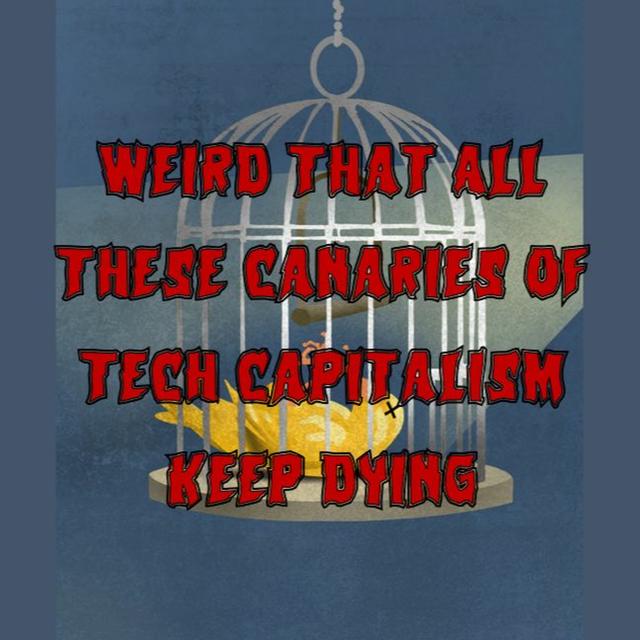 Patreon Preview – 222. Weird That All These Canaries of Tech Capitalism Keep Dying - podcast episode cover