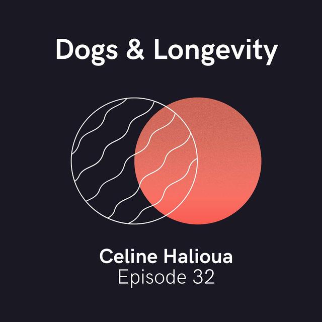Celine Halioua of Loyal — The Future of Aging, Longevity, and Dogs - podcast episode cover