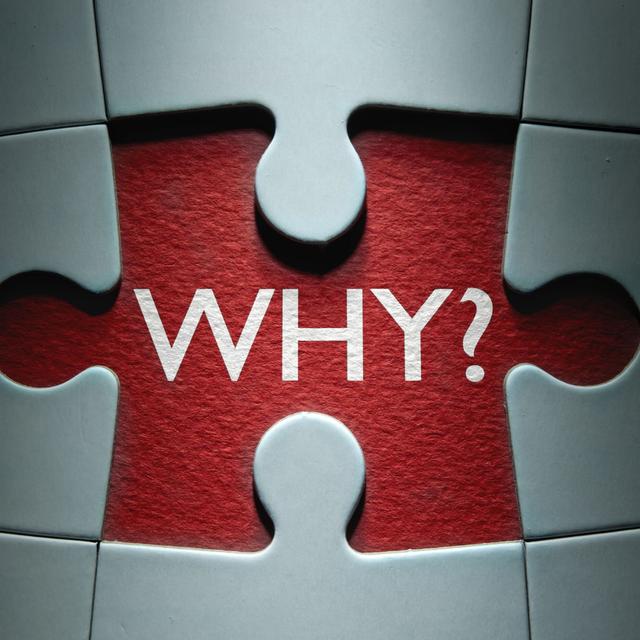 Why You Do What You Do? - podcast episode cover