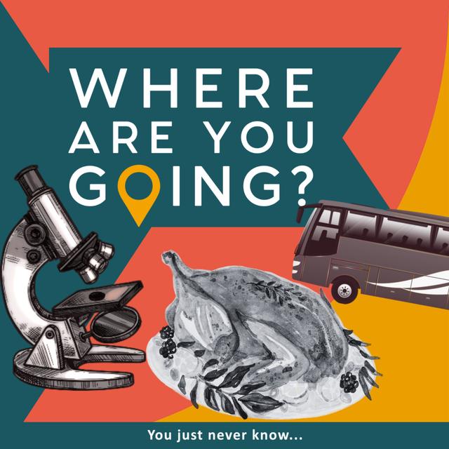 A scientist, some tinsel and a turkey - podcast episode cover
