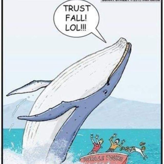 The Trust Fall: Can You Be Trusted? - podcast episode cover