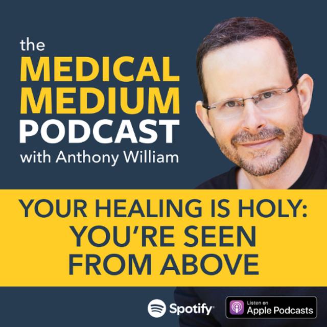 102 Your Healing Is Holy: You're Seen From Above - podcast episode cover