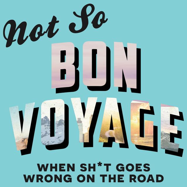 42 - Voyager Chat with Mike Siegel: Military Coups and Detained Abroad - podcast episode cover