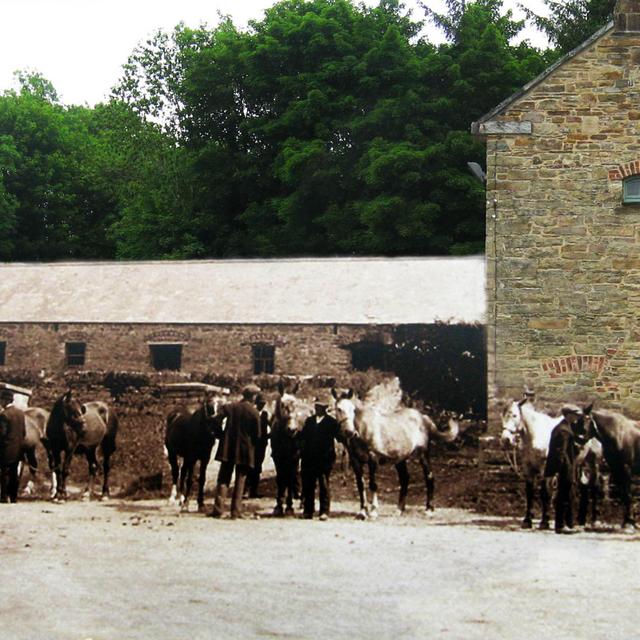 Castlecomer Coal Mine - podcast episode cover