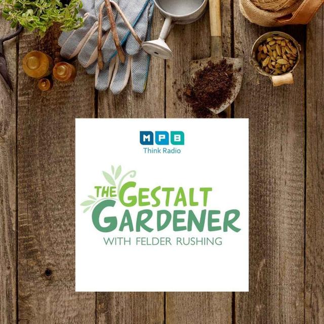 The Gestalt Gardener | Drive Time Pt.1 & 2 - podcast episode cover