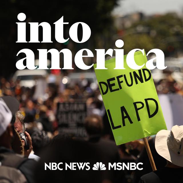 Into Defunding the LAPD - podcast episode cover