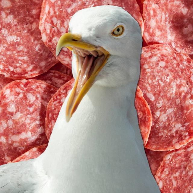How the Sausage is Maid - podcast episode cover