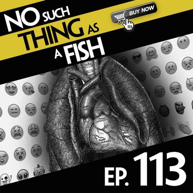 113: No Such Thing As A Flycycle - podcast episode cover