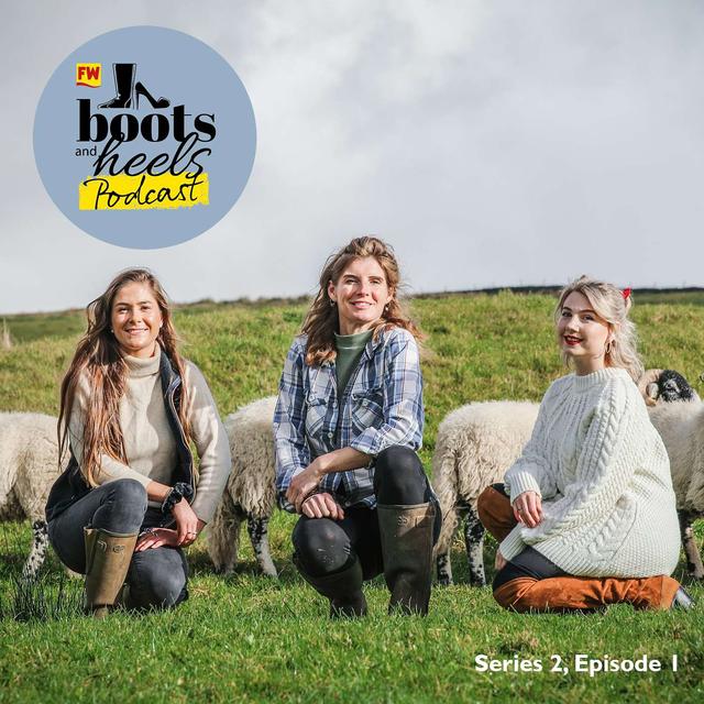 S2, E1: 'The Media' with the Yorkshire Shepherdess - podcast episode cover