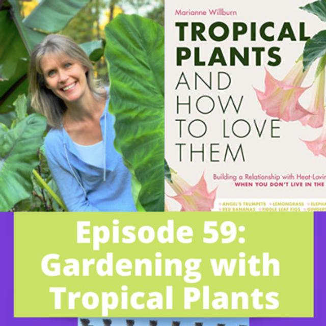 Gardening with Tropical Plants - podcast episode cover
