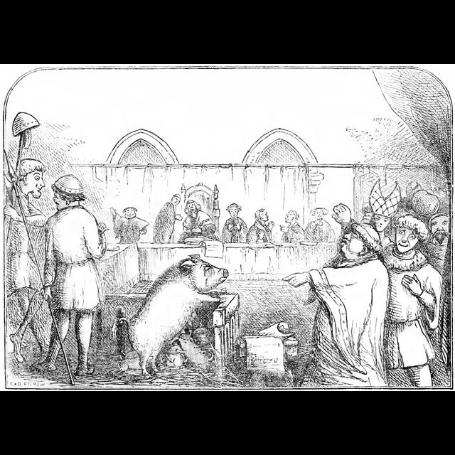 Animals on Trial - podcast episode cover