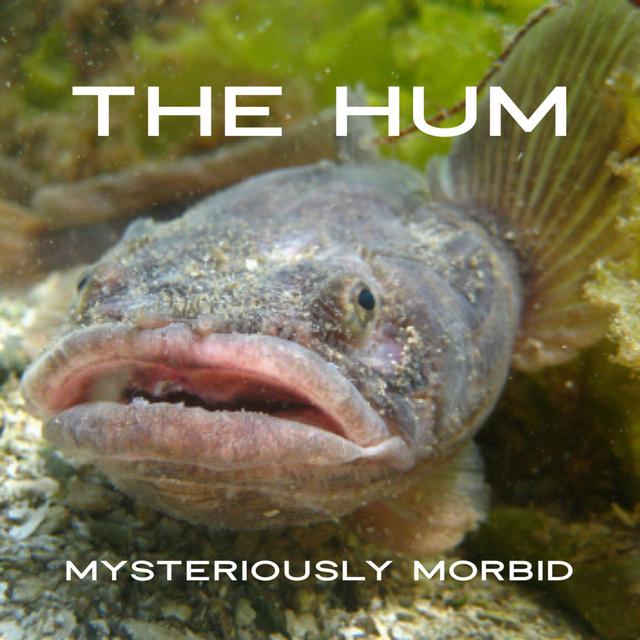 The Hum - podcast episode cover