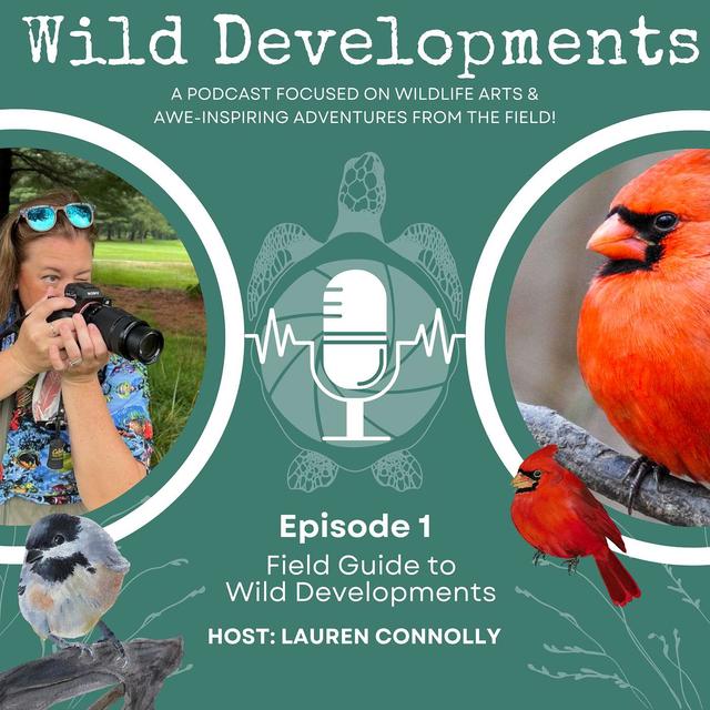 A Field Guide to Wild Developments - podcast episode cover