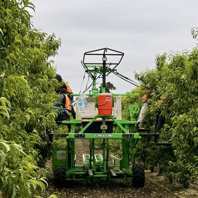 California farmers reshape agriculture with cutting edge tech - podcast episode cover