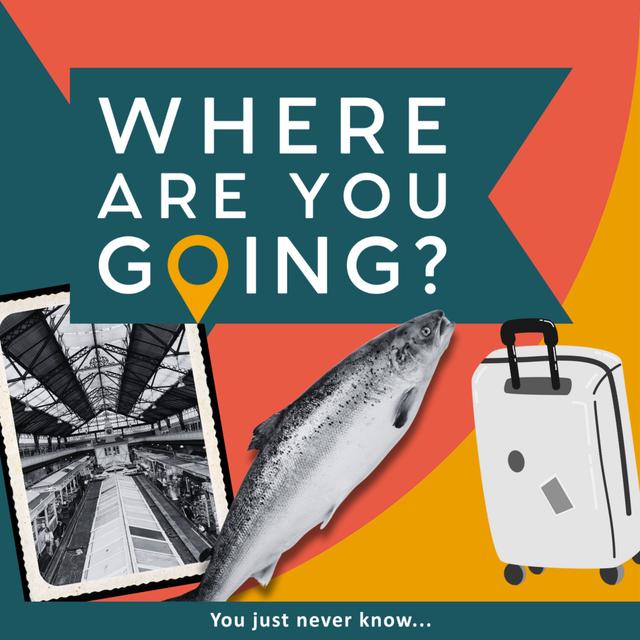 A market, fish and the Sudan - podcast episode cover