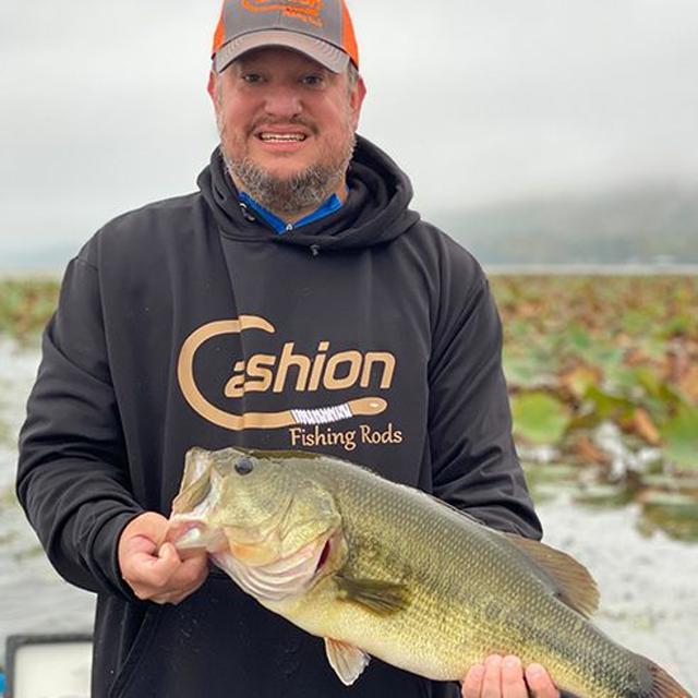 TW 248 - Bass On The Ledges: Diving Deeper - podcast episode cover