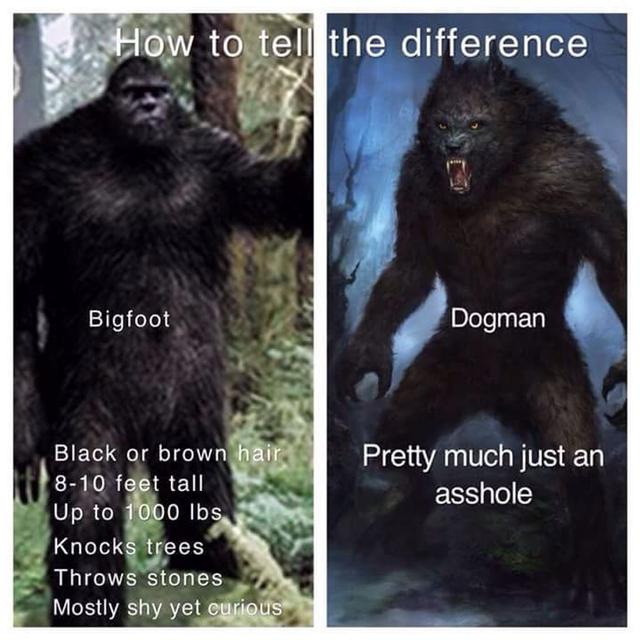 #319: Witches, Bigfoot And Dogman with Ryan Singer - podcast episode cover
