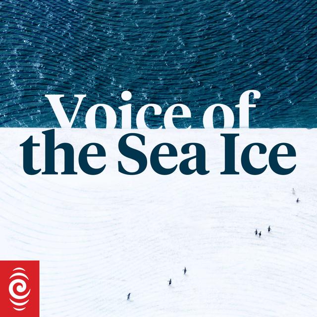 Wild Sounds: Voice of the Sea Ice - podcast episode cover