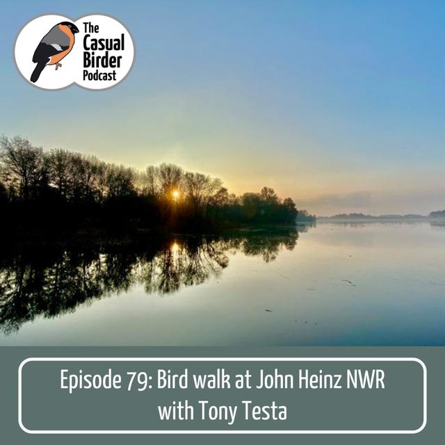 #79 Bird walk at John Heinz NWR with Tony Testa - podcast episode cover
