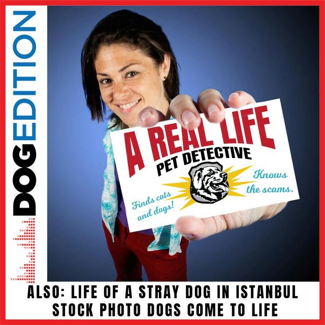 A Real-Life Pet Detective | Life of a Stray Dog in Istanbul | Stock Photo Dogs Come to Life | Dog Edition #11 - podcast episode cover