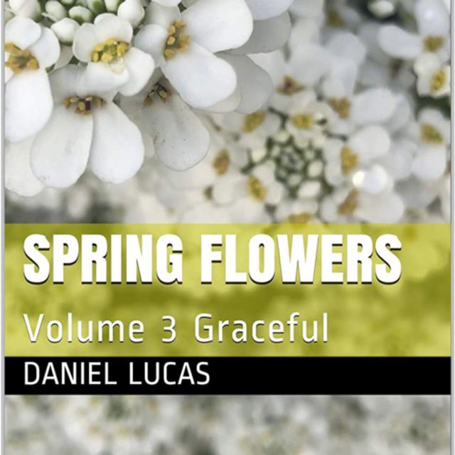 Spring Flowers Volume 3 Graceful by Daniel Lucas - podcast episode cover