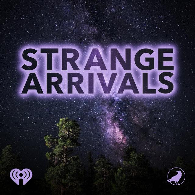 Bonus Episode: Diana Pasulka - podcast episode cover