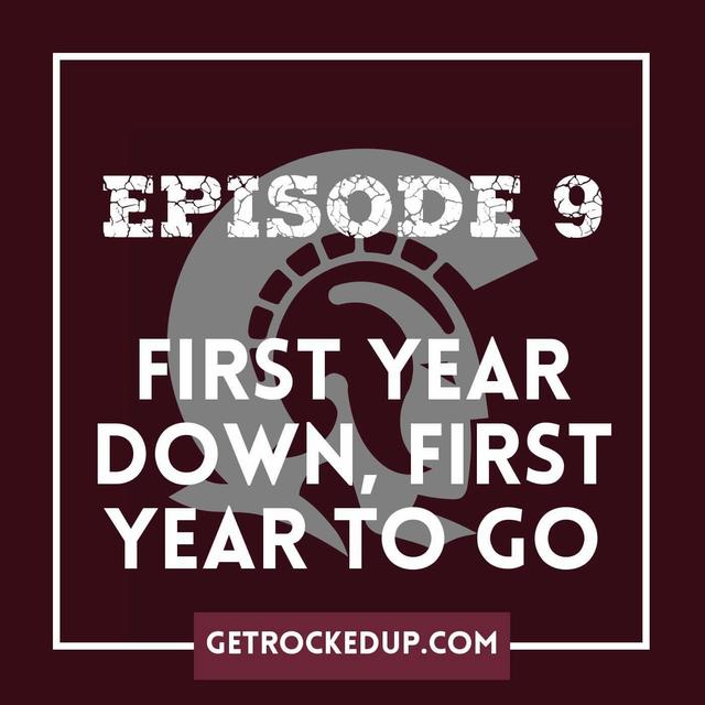 First Year Down, First Year To Go - podcast episode cover