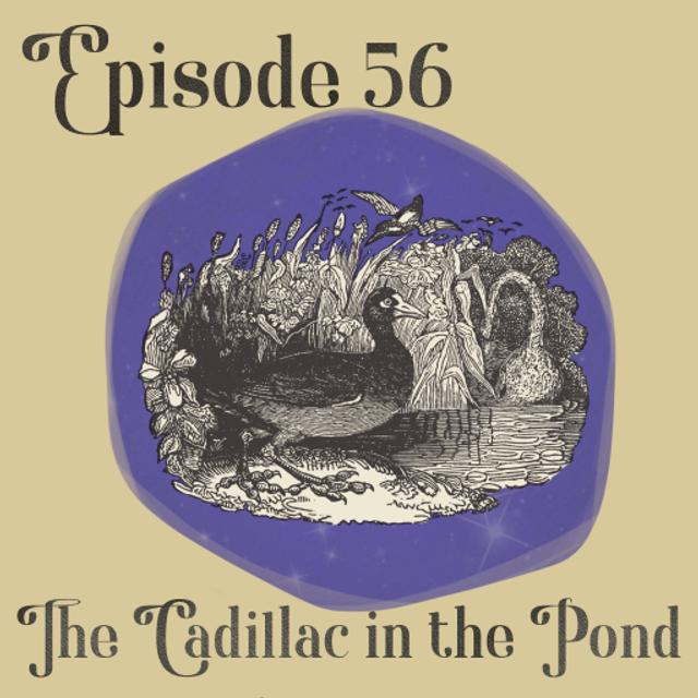 The Cadillac in the Pond - podcast episode cover