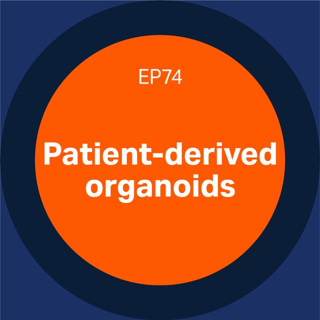 74. Patient-derived organoids (part 1) - podcast episode cover