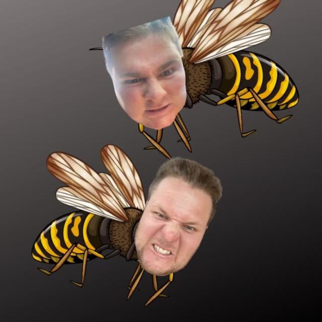 Ep.28 Gettin Waspy - podcast episode cover