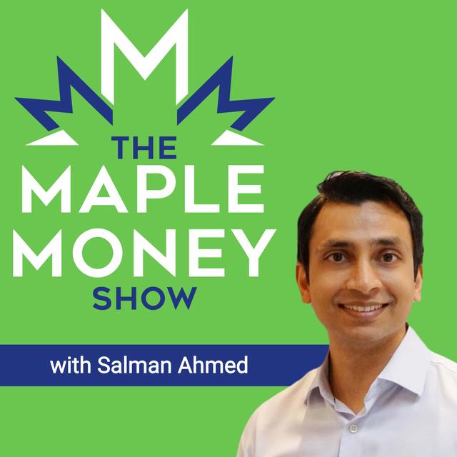 The Value of Professional Investment Advice, with Salman Ahmed - podcast episode cover