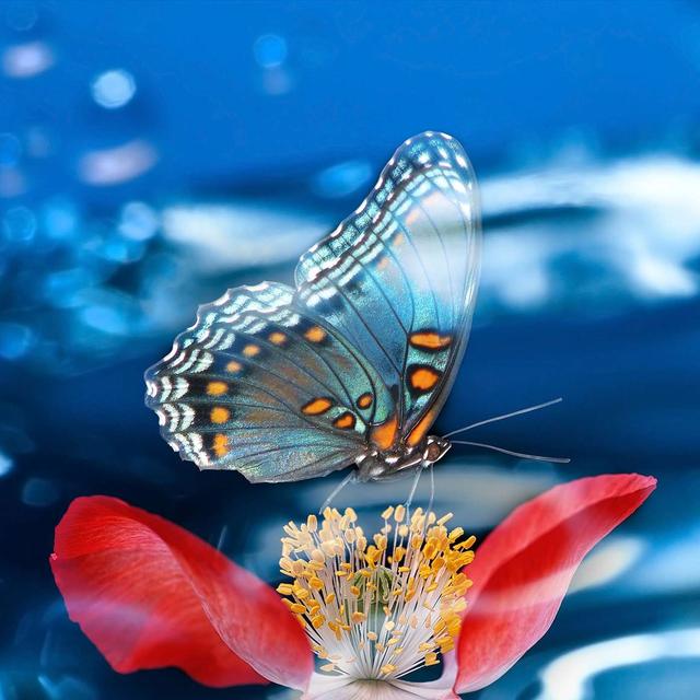 Beautiful Meditation Music For Inner Calm And Reflection - podcast episode cover