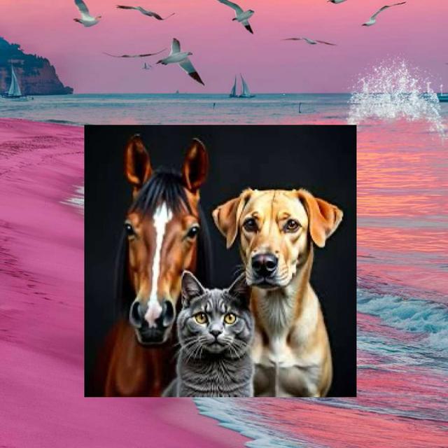 Animals Don't Lie with Susanne Court and Hersch Wilson - podcast episode cover