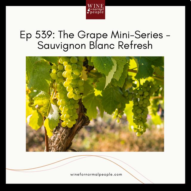 Ep 539: The Grape Mini-Series -Sauvignon Blanc Refresh - podcast episode cover