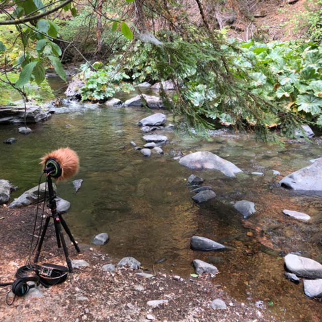 Episode 82: Summer Afternoon Beside Squaw Valley Creek - podcast episode cover