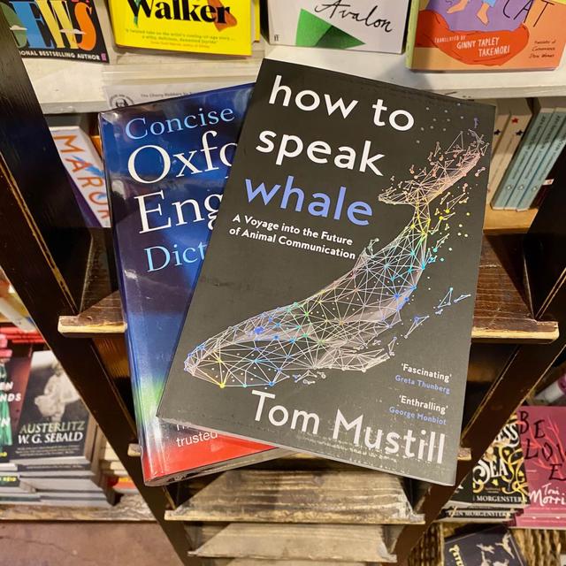 🐋How to Speak to Whales (and other animals…) with Tom Mustill🐋 - podcast episode cover