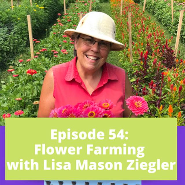 Flower Farming with Lisa Mason Ziegler - podcast episode cover