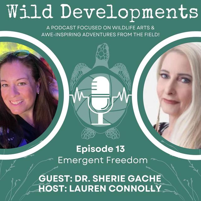 Emergent Freedom - podcast episode cover