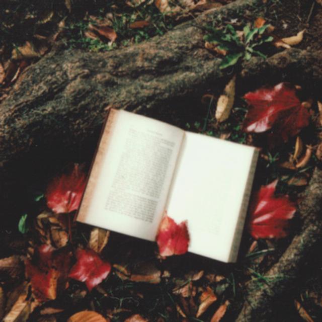 Catskills Thrillers: Reading Along with Kelli Huggins - podcast episode cover