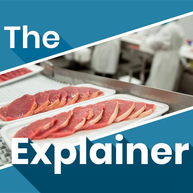 What the Covid-19 clusters tell us about the meat industry in Ireland - podcast episode cover