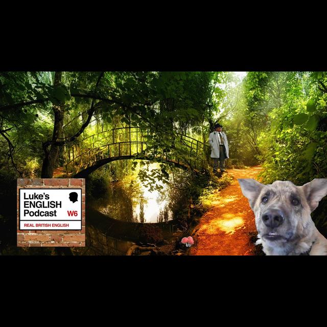 153. The Talking Dog Story - podcast episode cover