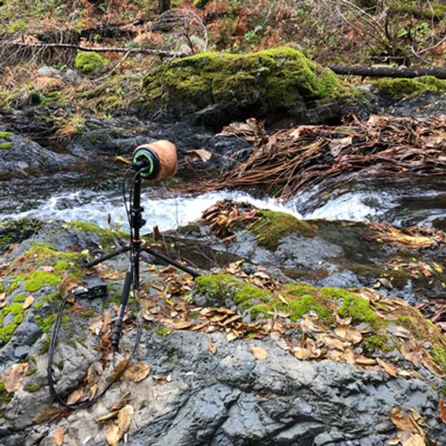 Episode 88: Autumn Day Beside Tom Neal Creek - podcast episode cover