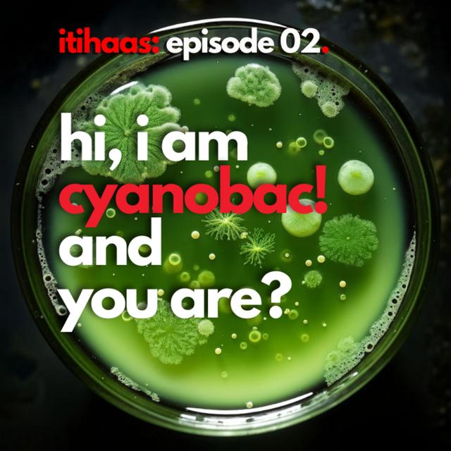 #002 The First Explosion of Life - podcast episode cover
