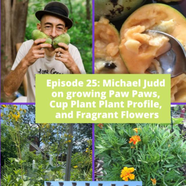 Growing Paw Paws, Cup Plant, and Fragrant Flowers - podcast episode cover