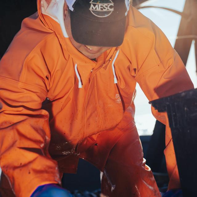 A haddock disaster with Dr. Jamie Cournane - podcast episode cover